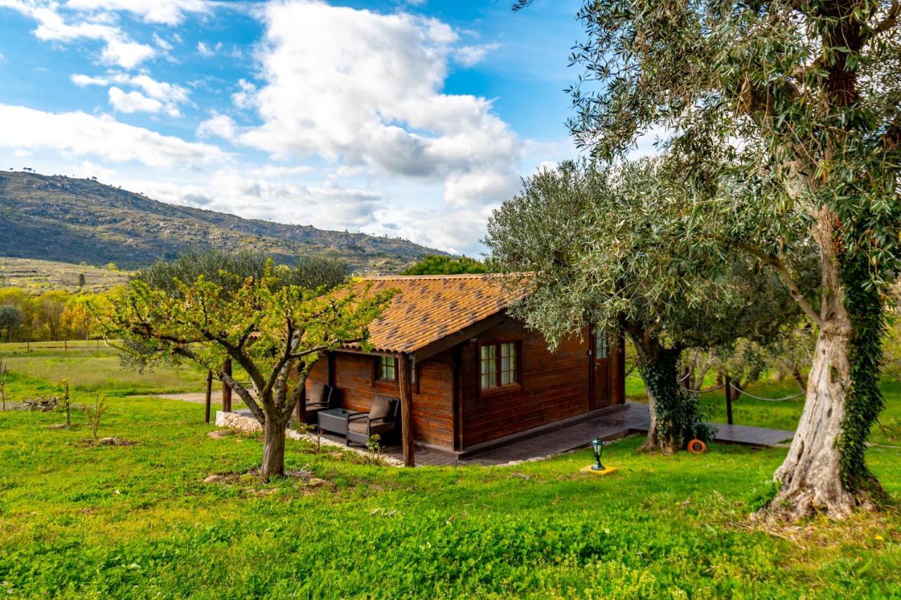 Готель Quinta Do Quinto Porto da Carne Екстер'єр фото