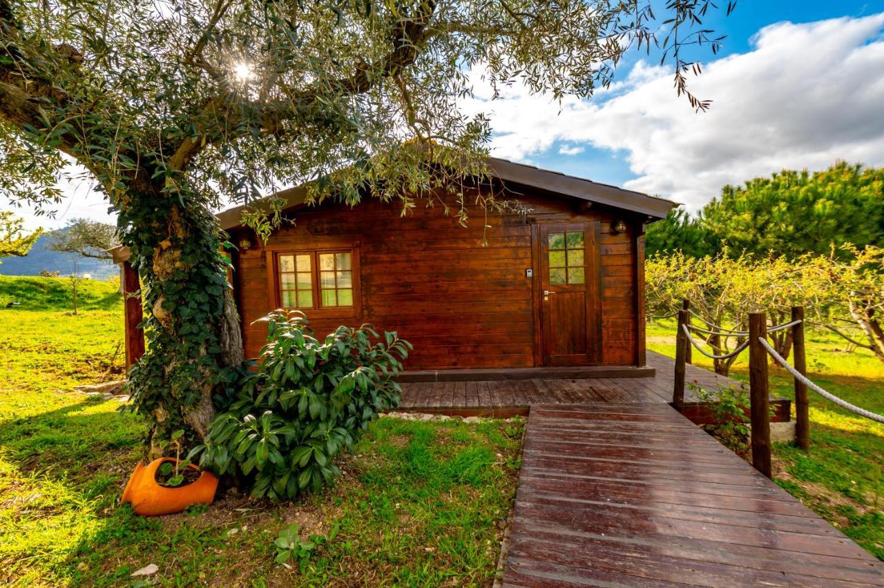 Готель Quinta Do Quinto Porto da Carne Екстер'єр фото